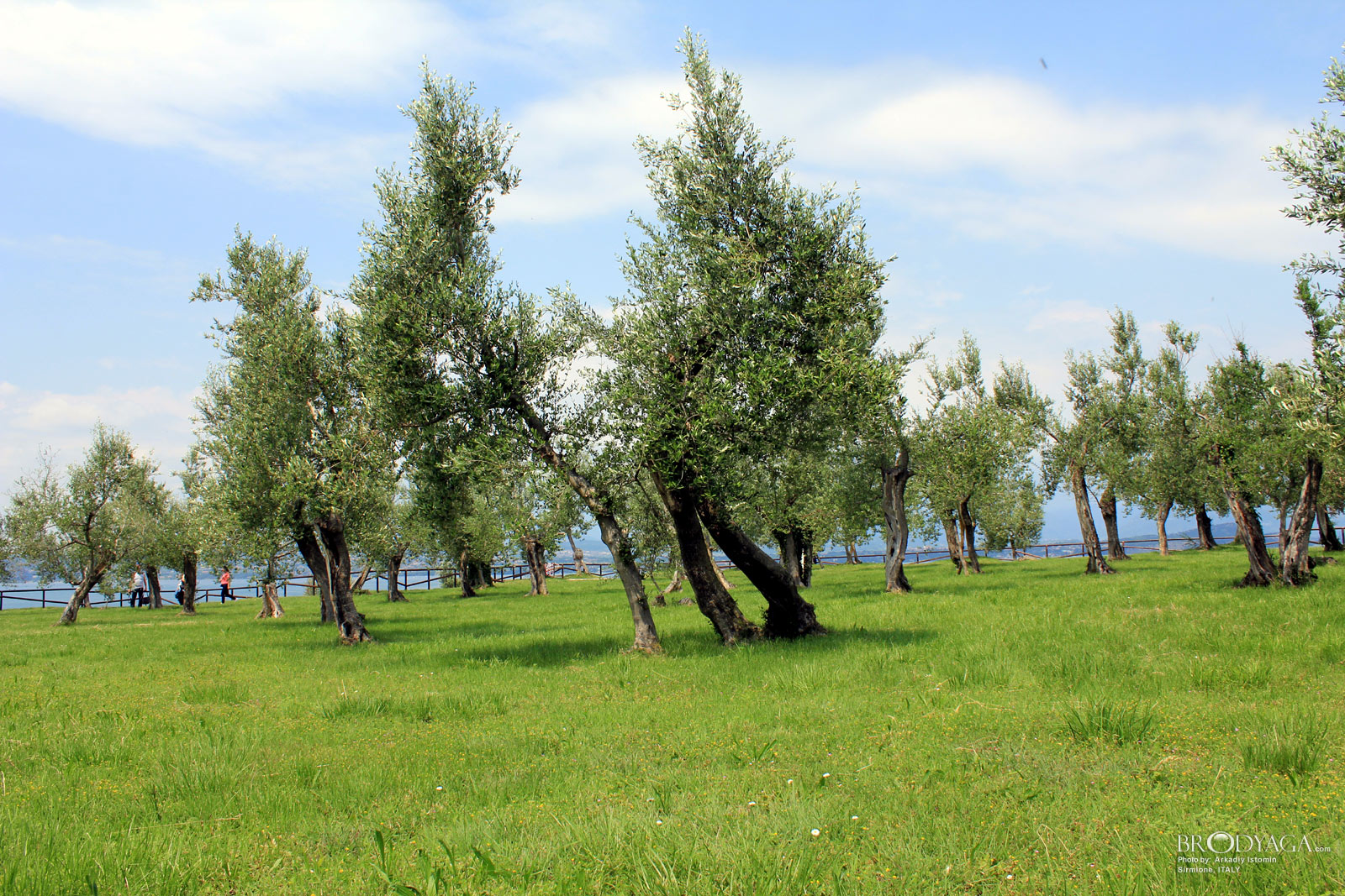 Grotte di Catullo